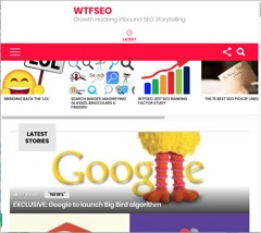 Screenshot of WTFSEO
